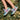 Zapato BURTON 05 - Deporte