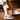 Trainers - GYCMO 50