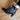 Schuh ELCODIEO 05 - Stiefeletten