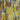 Foulard Rouen - Jaune - Foulard