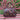 Bag - ARAMIS 10 BAG