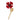 Broche - BELLE DES CHAMPS