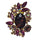 Iana Jewel Brooch