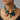 Collar Efia
