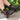 Botas - INCASO 42
