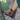 Ankle boots - INCASO 42