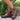 Ankle boots  INCASO 45