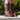 Knee boots - INCASO 50