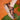 Baskets - SOFIAO 07