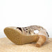 Shoe ALBANE 04 - Sandal