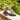 Scarpa BECTTINOO 01 - Sandalo