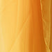 shawl Arenberg - Yellow - shawl