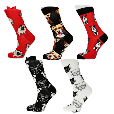 Pack of 5 pairs of socks - Dogs
