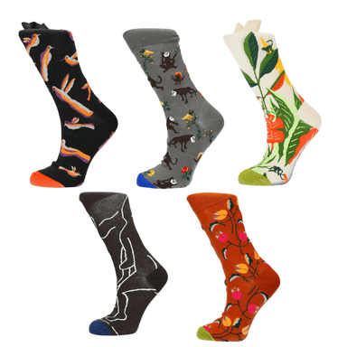 Pack of 5 pairs of socks - Multi