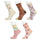 Lot de 5 paires de chaussettes Rosa - Parme