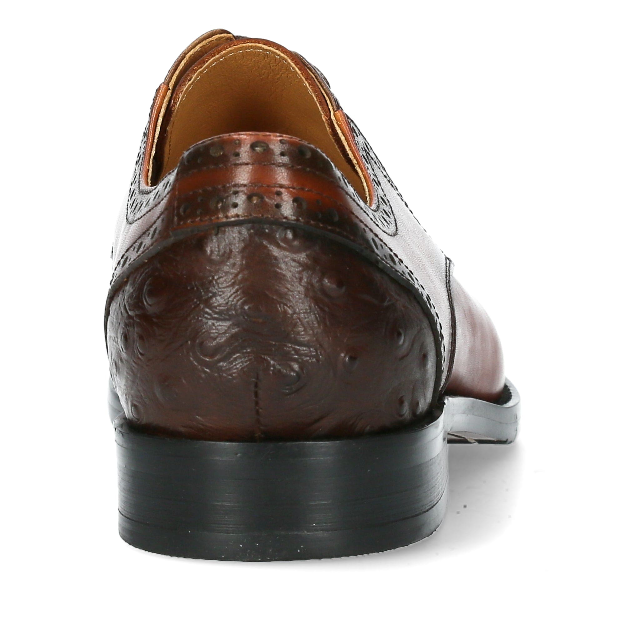 Shoe ALVIN 02 - Shoe